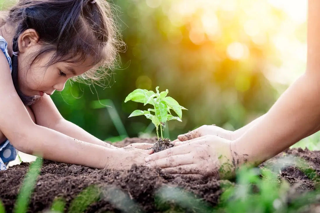 Bring Nature Back to Your Property