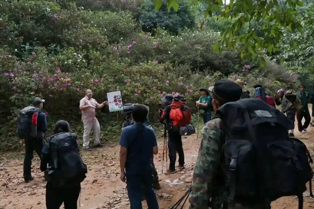 Education & Botanical Hikes