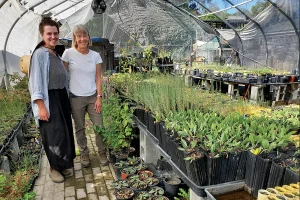 A New Partnership to Expand Native Landscaping