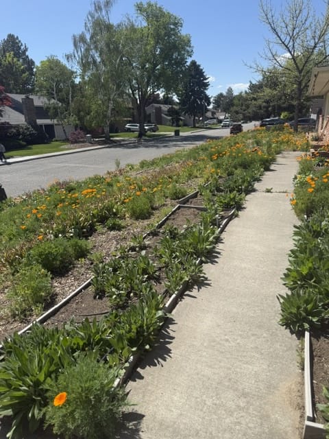 After - Xeriscaping - North Richland Home