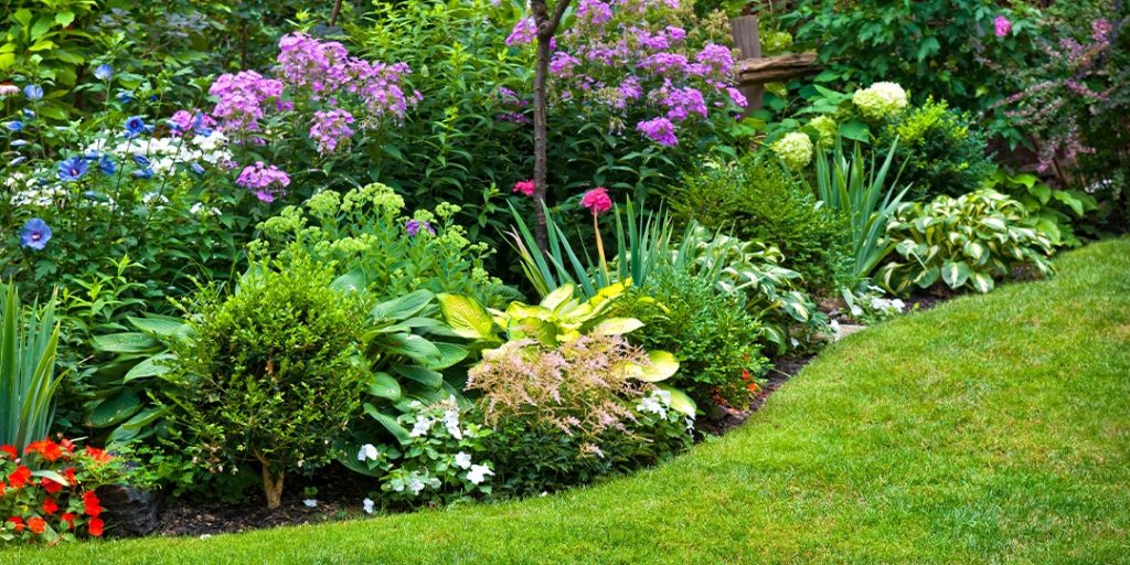 Why Native Plant Landscaping is Growing Faster?