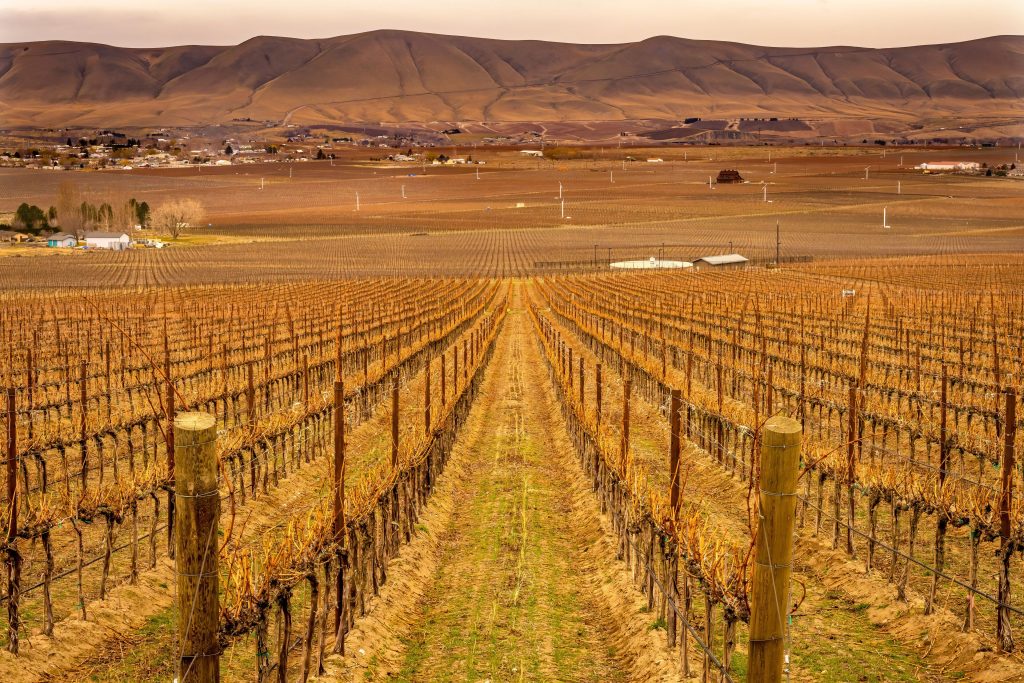 Benton CIty WA
