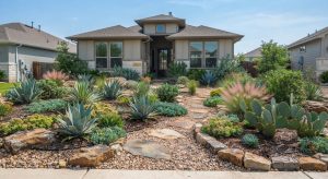 How Much Water and Money Can Xeriscaping Actually Save You?
